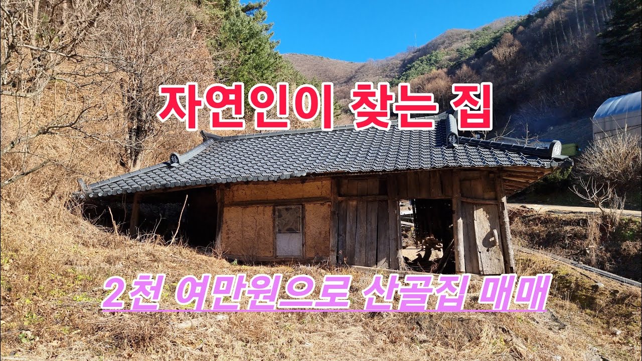 자연인이 찾는 산골 집  소액으로 구입 할수 있는 작은 집과 대지