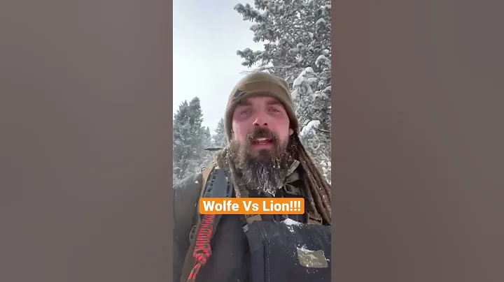 This Hunt Broke The Internet!