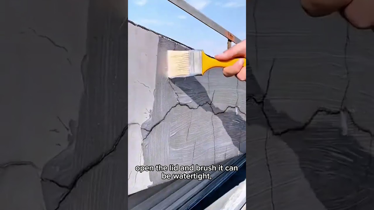 This Transparent Waterproof Glue Fixes Cracks Instantly! (300gm by DYMTRUS) 