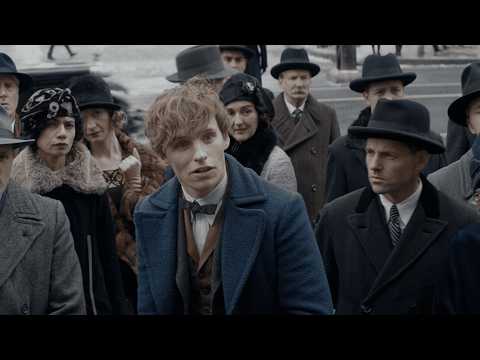 Still from the movie Fantastic Beasts and Where to Find Them
