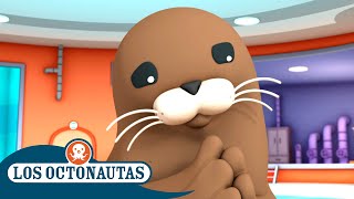 Los Octonautas - La Foca De Puerto Episodios Completos
