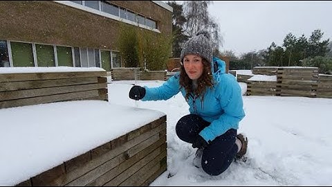 How to Measure Snow Depth