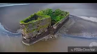 Bablya Tare. Satpati