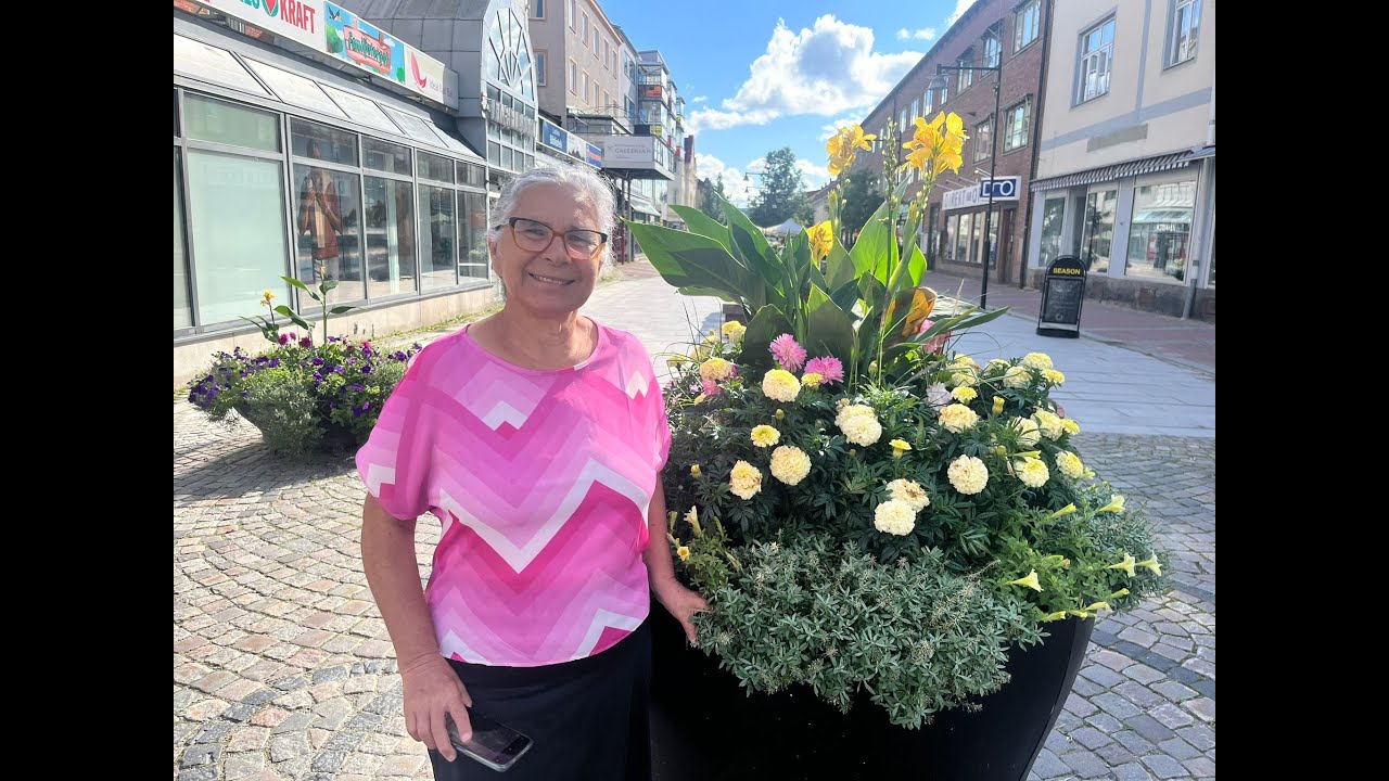 Conheça Ludvika Suécia 