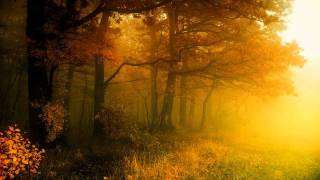 Autumn waltz by ANDROMEDICH
