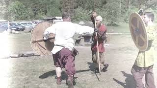 Viking chaos training