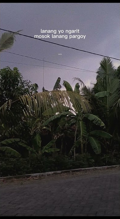 STORY WA 30 DETIK KATA KATA 'Lanang yo ngarit Lanang mosok pargoy 🤣'