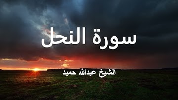 سورة النحل كاملة للشيخ عبدالله حميد، تلاوة رائعة بصوت جميل