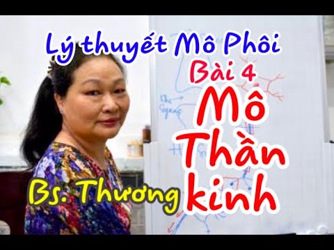 Video: Mô Thần Kinh Là Gì