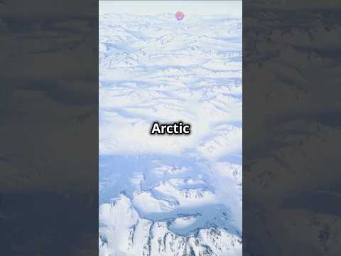 The Arctic War