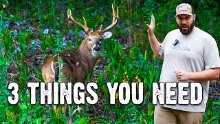 Top 3 Reasons Why Hidey Hole Food Plots Fail