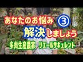 【多肉植物】あなたのお悩み解決します③2026年8月12日