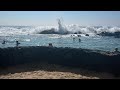 Hawaii Lagoon Swim