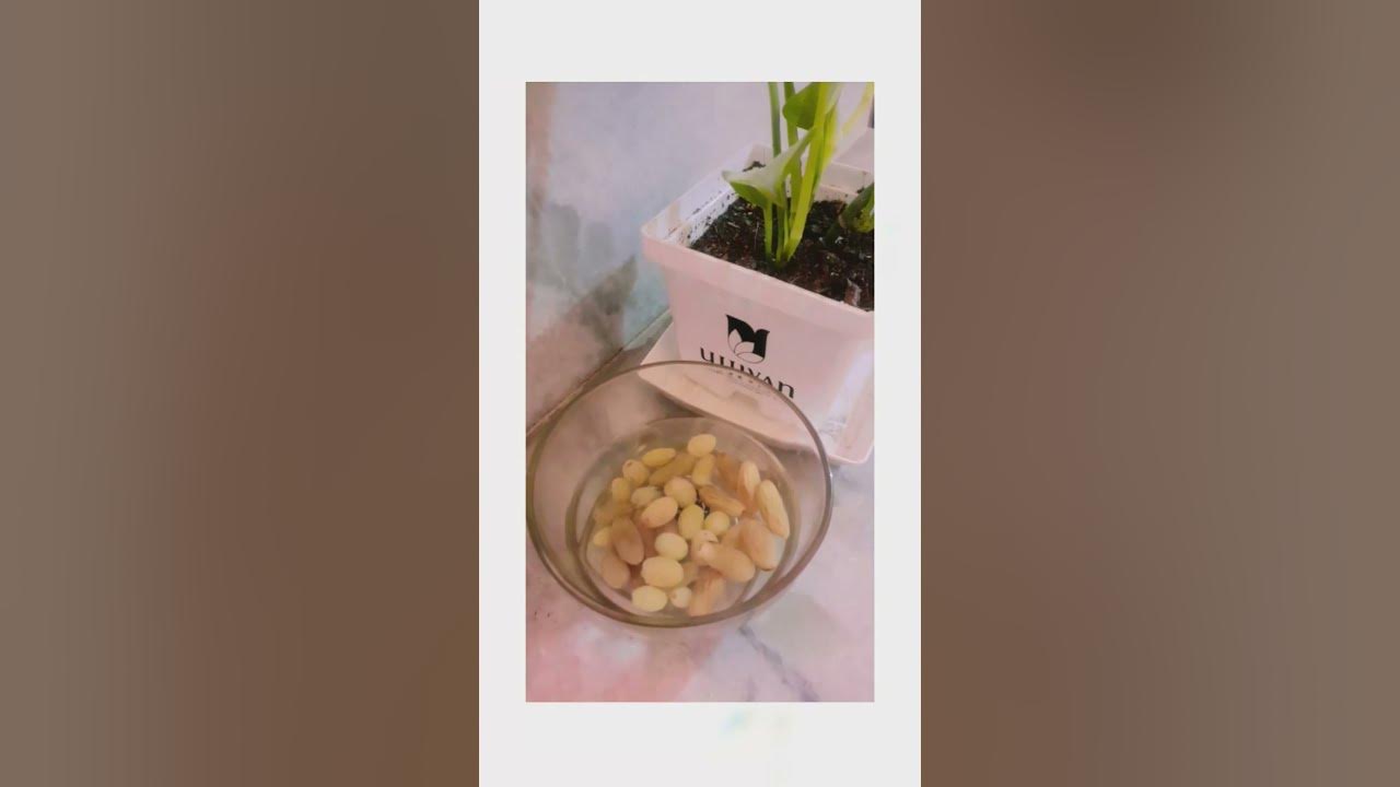 osmosis best example Osmosis in raisins The fundamental unit of