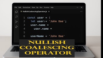 Javascript Nullish Coalescing Operator | JSBabysitting [Part 8]