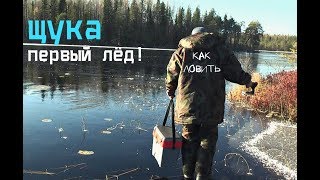 Как где и на что ловить щуку по первому льду?