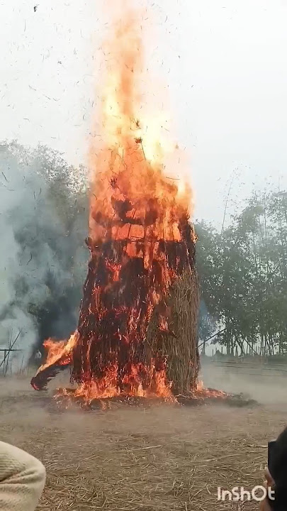 Magh bihu || Bhogali bihu || Magh bihu song || Bhogali bihu song || bihu #bihu #maghbihu2023 #maghi