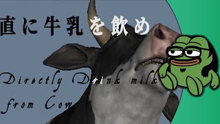 Directly Drink Milk from Cow made me cry laughing screenshot 1
