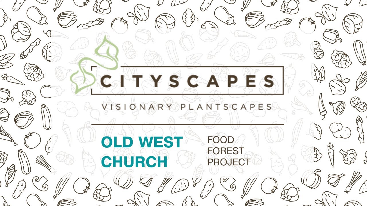 Old West Church Food Forest (Designed by Cityscapes) Pt. II