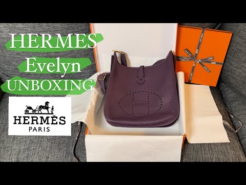 Hermes Evelyne Comparison and Unboxing GM Vs PM 