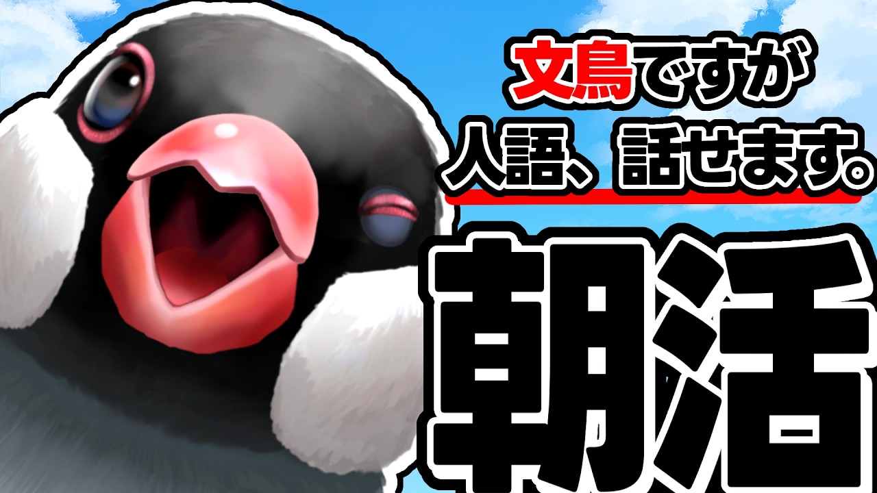 【朝活/初見歓迎】朝から！圧かけます！【新人VTuber】