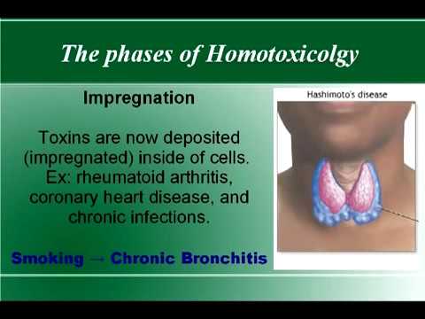 Homotoxicology Chart