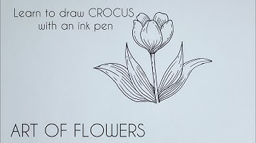 Art Of Flowers: Crocus 🖌️ Learn to Draw Flower with an ink pen