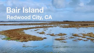 Bair Island Ecological Reserve, Redwood City CA - SF Bay Trail