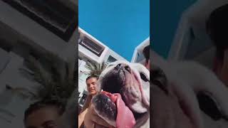 Tony Lopez With Girlfriend SJ Bleau IG Stories! 6/19/2022