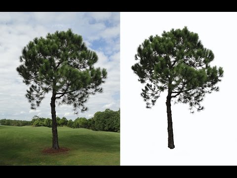 Remove Complex Background : Photoshop Tutorial Remove Complex Background : Photoshop Tutorial