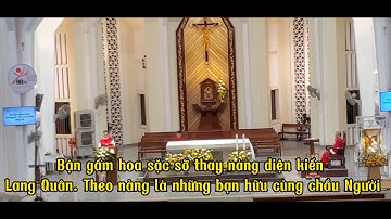 Thánh Vịnh 44 - Đinh Công Huỳnh | Lễ Thánh Cecilia Trinh Nữ | 18:00 - 22.11.2022