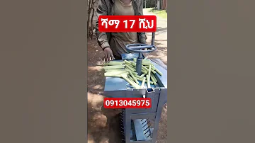 ሻማ አምራች ድርጅት Gebeyamedia LibeTv ልቤቲቪ MARTIGEBEYA FBmachinery6159 