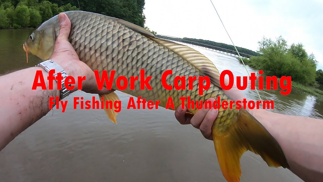 Carp Fly Fishing after work on a 6wt Glass Rod....Tails and Backs Everywhere on an NC Mud Flat!