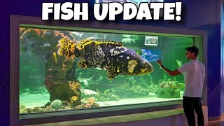Update On All My Fish!!
