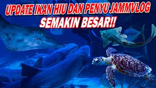 BEYOND EXPECTATION!!! @JAMMVLOG'S SHARK IN 1,800 TON MEGATANK BECAME A MONSTER AND THE TURTLE WEN...
