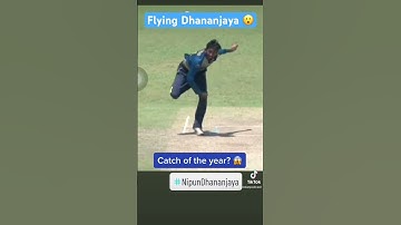 Flying catch by Nipun Dhananjaya 😮 #cricket #srilankacricket #crickettwitter #srilanka #shorts