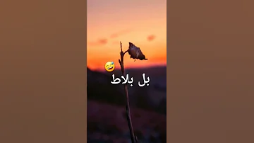 لكل واحد زعلان مني انت روح على بحر وانا لحلاقك بل بلاط مقاطع مضحكه ضحك ضحكة من القلب متت 