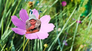 Download Lagu Dj Flower MP3