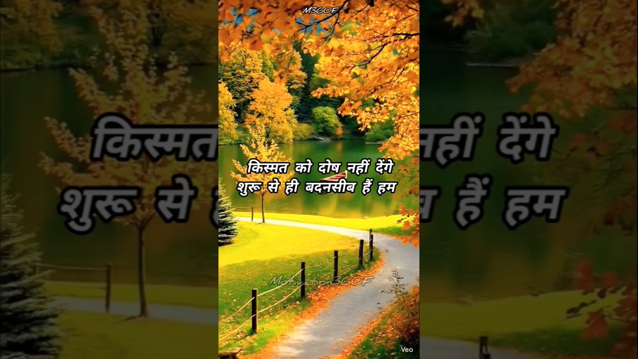 किस्मत को दोष नहीं देंगे शुरू से ही बदनसीब हैं हम 