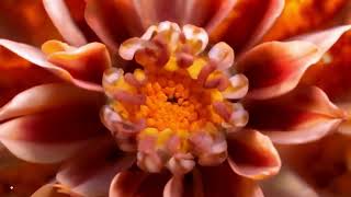 5 minute Meditation for Mediumship practice