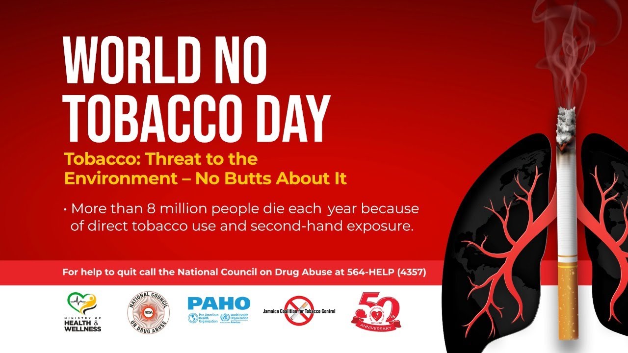 free tobacco cigarettes 5 Smoke Free Cocoa Bean Sticks Tobacco Nicotine Free Menthol Flavor (80  Sticks)W