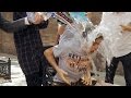 老外的倒冰水挑戰：喜樂小兒麻痺關懷協會│Ice Bucket Challenge│郝毅博 Ben Hedges