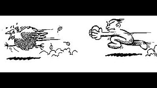 Thermodynamics and Genetic Entropy