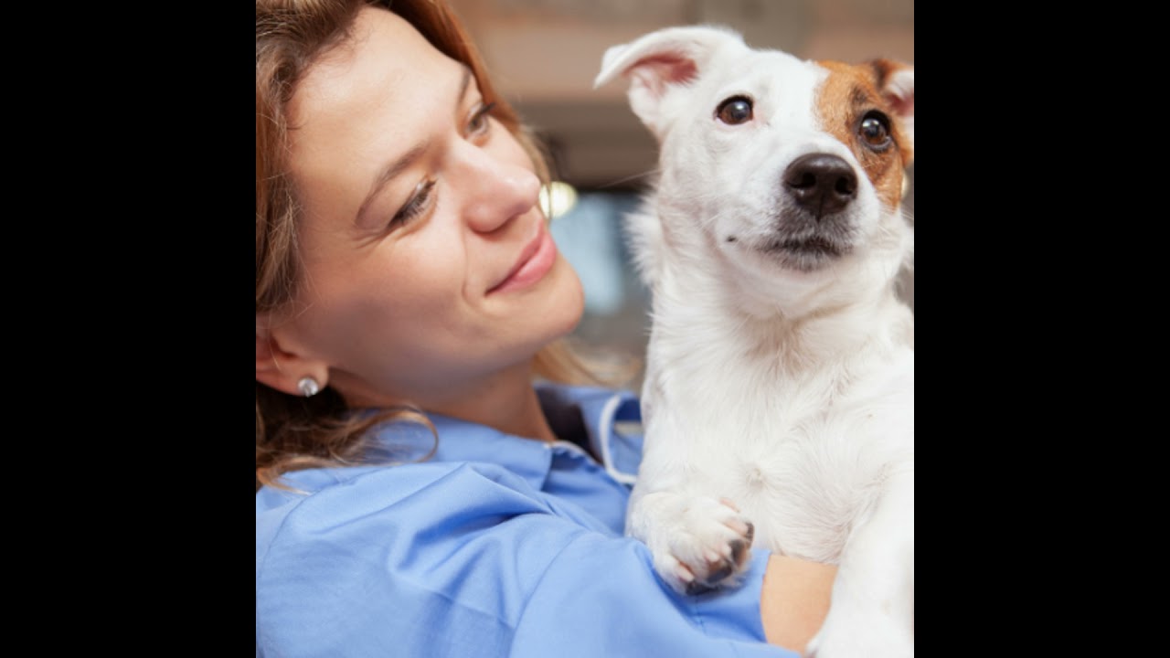 The Zen of Procedural Sedation