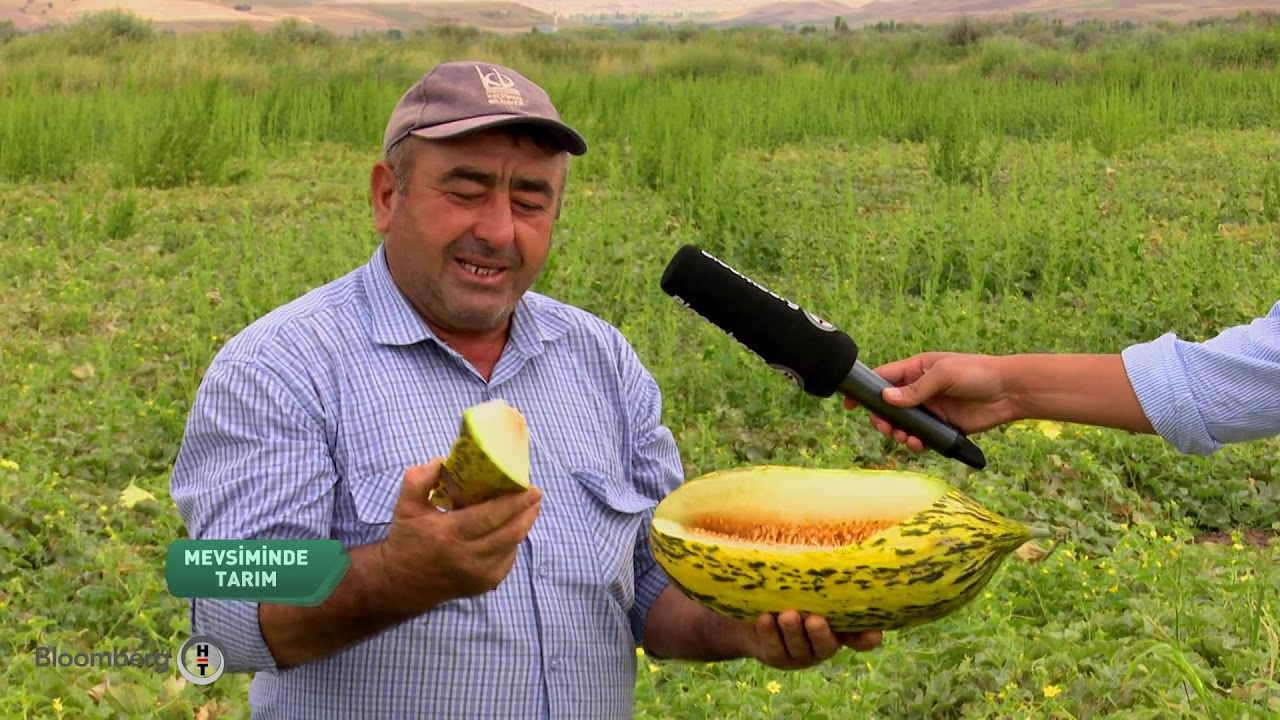 Mevsiminde Tarım | Türk Traktör & Kavun Hasadı  - Bölüm 2 | 22.12.2018