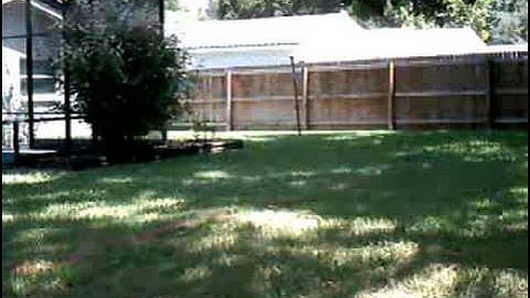 T-Rex 450 SE V2 First Hover.