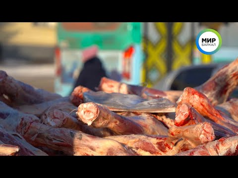 Почем мясо в Улан-Удэ? На Площади Советов проходит ярмарка сельхозпродукции