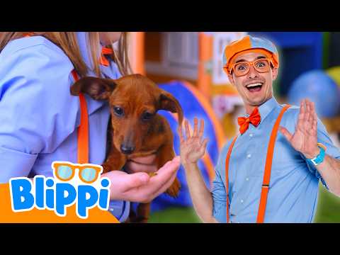 Puppy Playtime! 🐶 Blippi Music Video 🎵 | Community Corner 🌸| Kids Sing and Play