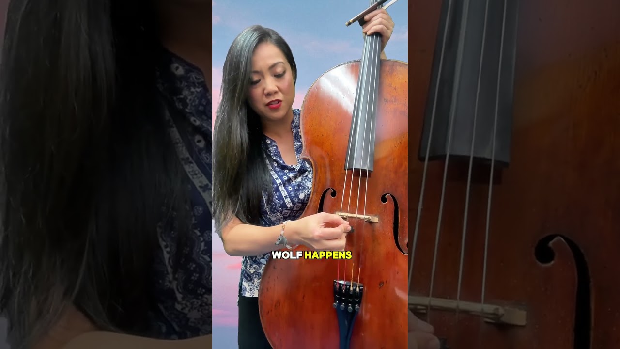 Этот трюк, занимающий всего 2 секунды, поможет вам укротить &laquo;волчий&raquo; тембр вашей виолончели 🐺🎻