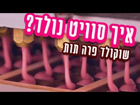 וִידֵאוֹ: איך מייצרים גבינת פרה צוחקת?